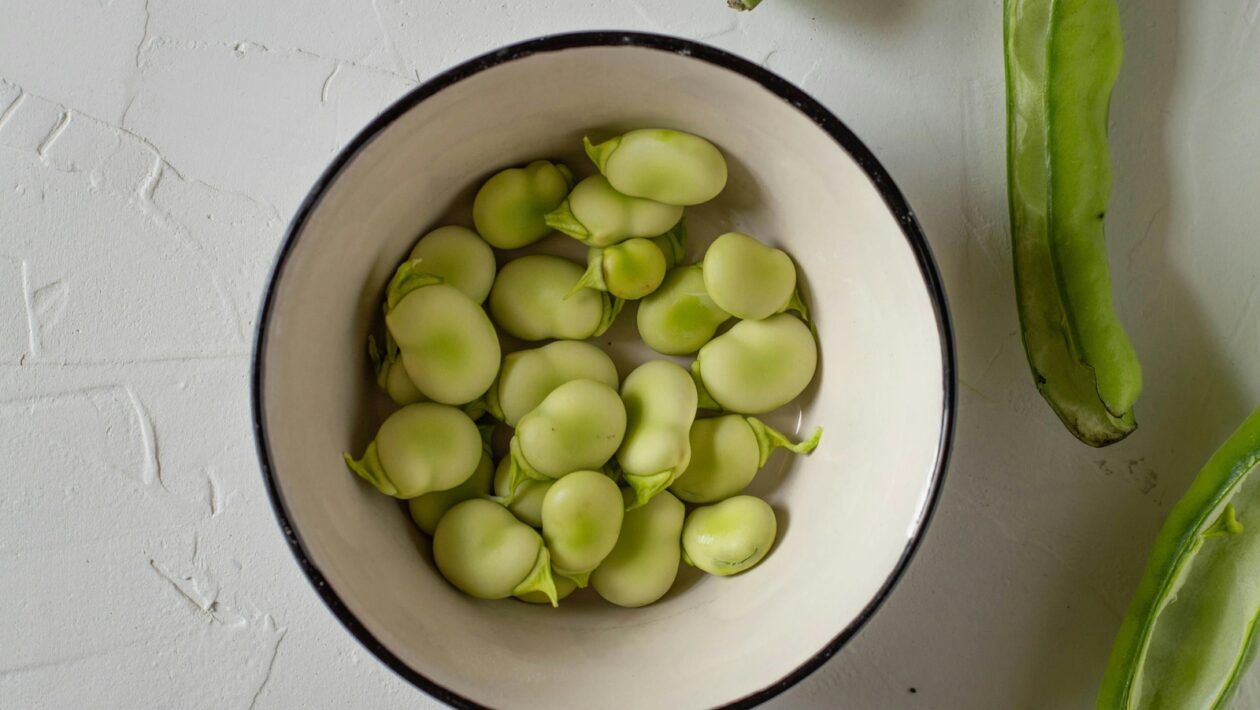 Kultúrna politika a manažment: Financovanie, stratégie a inštitúcie