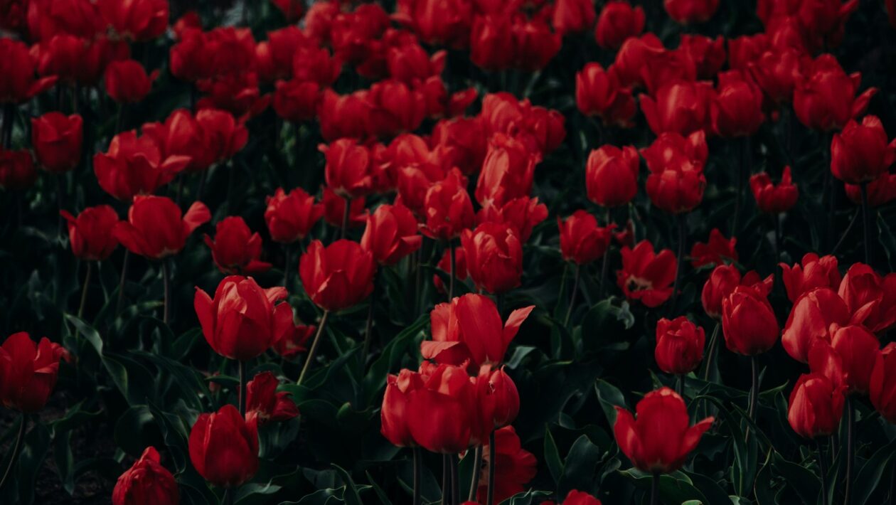 Brutalizmus: Betón, monumentálnosť a kontroverzia