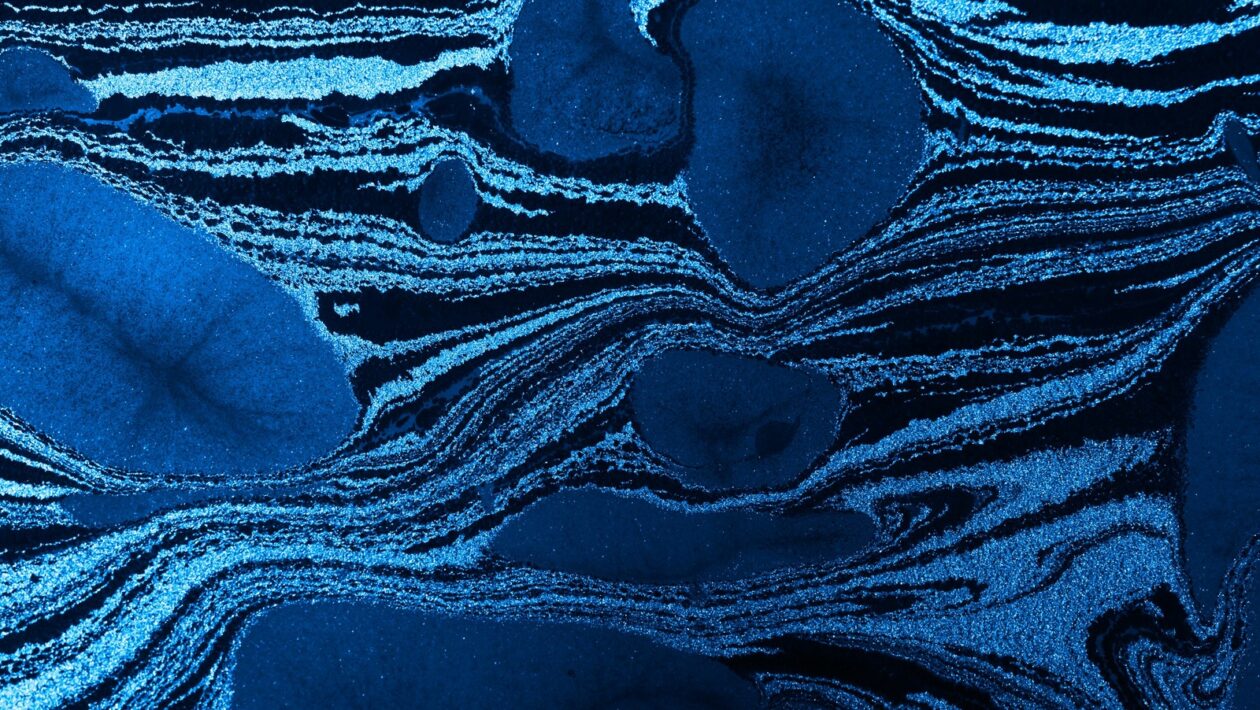 Úloha múzeí, galérií a knižníc v spoločnosti: Vzdelávanie, uchovávanie a výskum