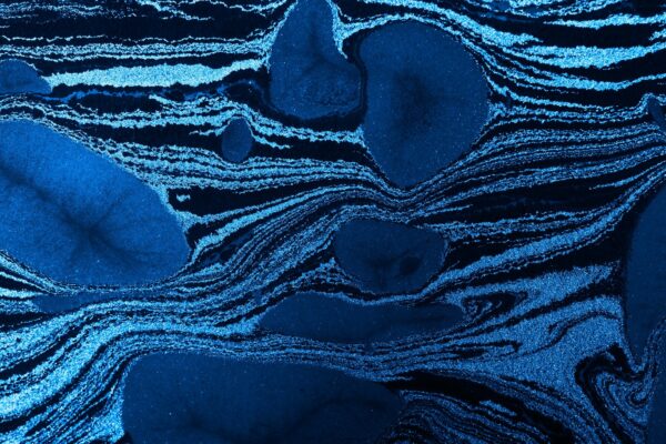 Úloha múzeí, galérií a knižníc v spoločnosti: Vzdelávanie, uchovávanie a výskum