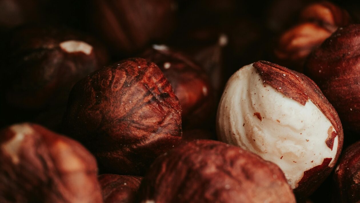 Techniky a štýly maliarskeho umenia: Od fresky po akryl