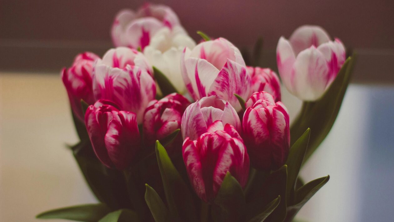 Technologická báza sochárskej tvorby: Materiály, nástroje a techniky