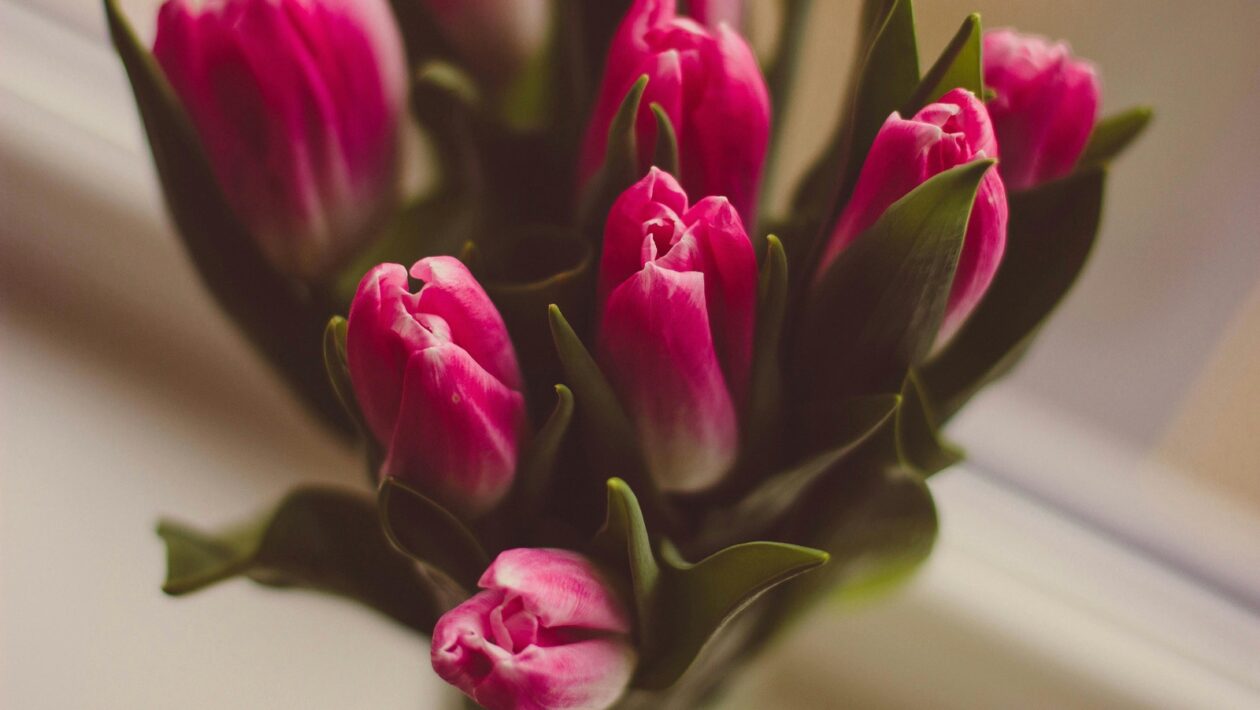Monumentalita a naratív: Sochárstvo antiky, renesancie a baroka