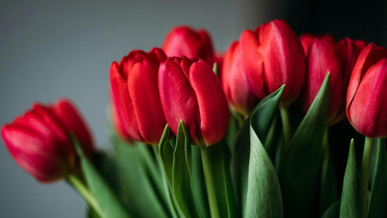 Moderné sochárske inštalácie a objekty: Koncept, priestor a experiment