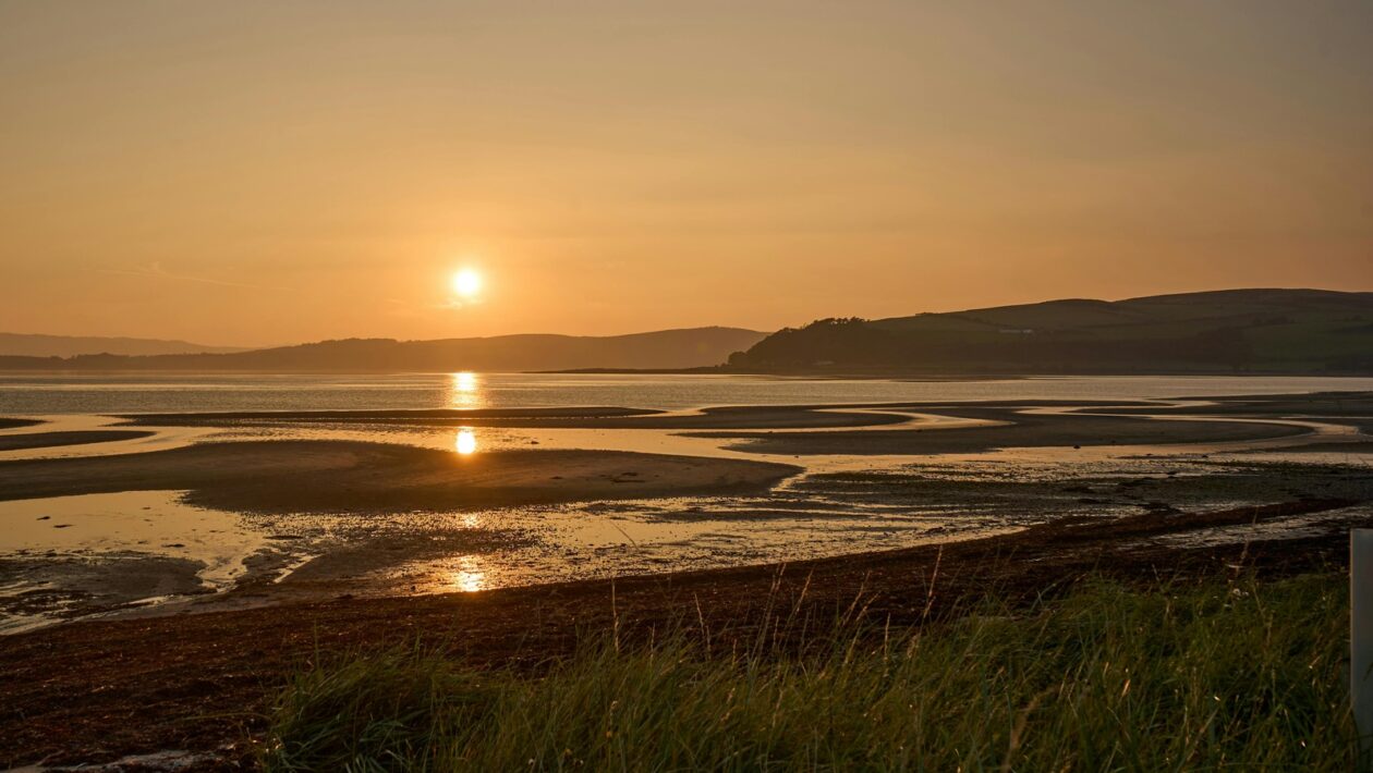 Umenie plagátu a typografie: Vizuálna komunikácia a estetika písma