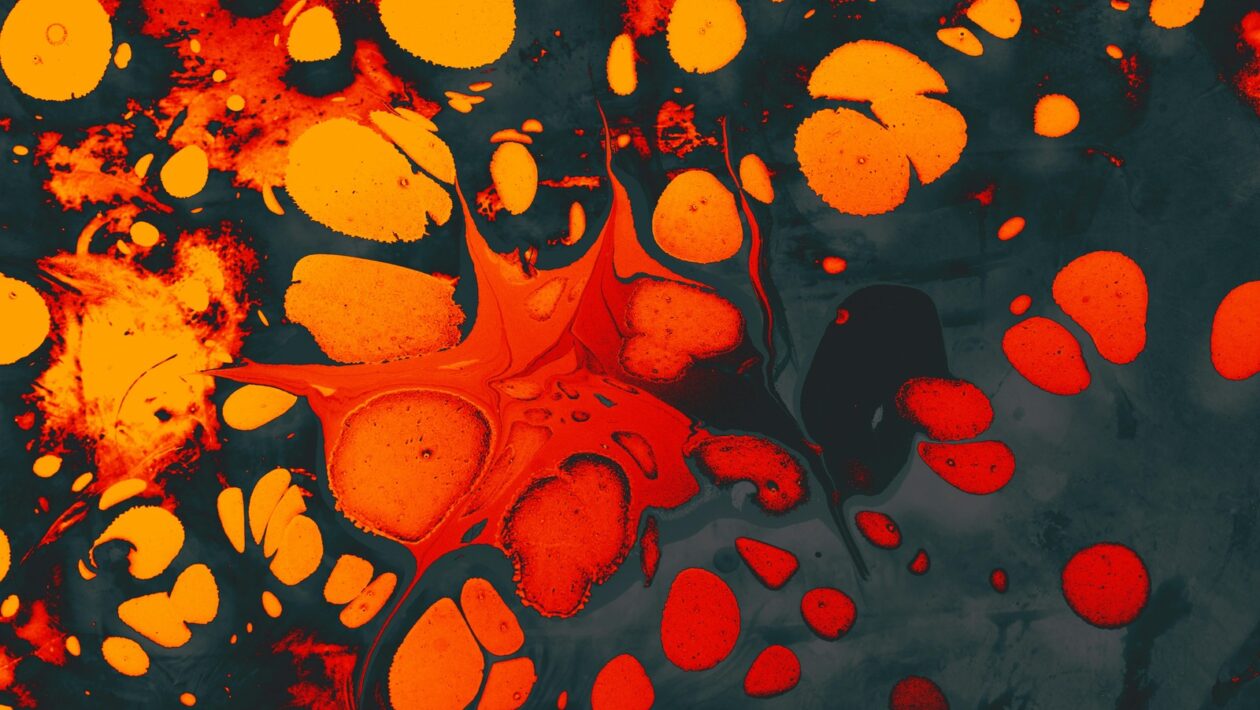 Psychológia vedenia hudobného súboru: Motivácia, autorita a kooperácia