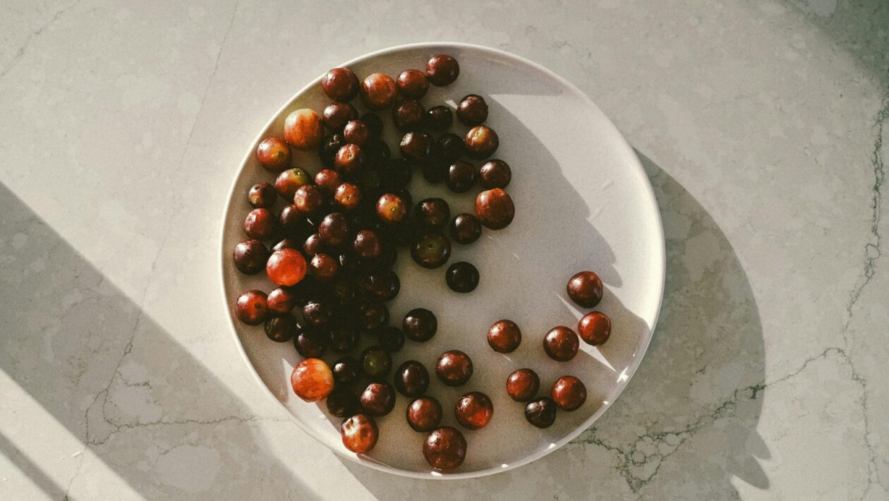 Pedagogika klavírnej hry: Metódy, technika a interpretácia