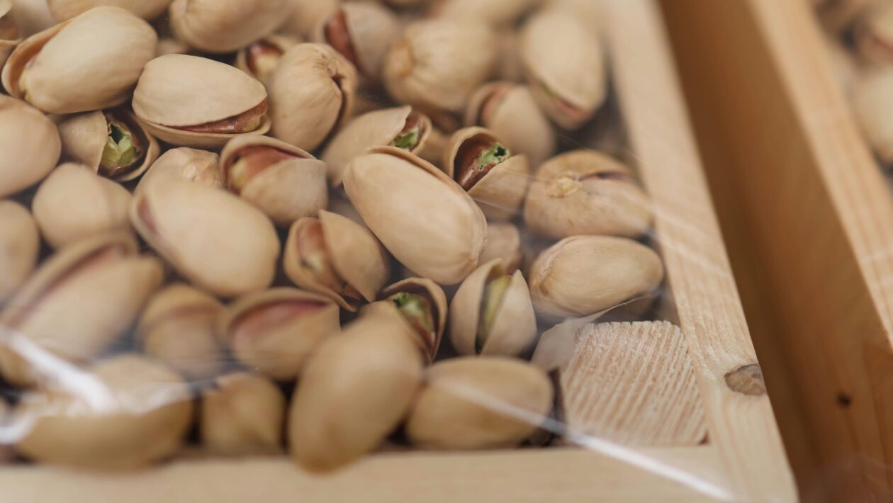 Technika hry na sláčikové nástroje: Luk, prstoklad a výraz