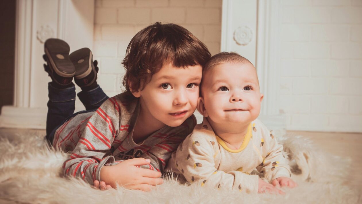 Tradičné a moderné perkusívne nástroje: Typológia a kultúrny kontext