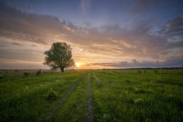Estetika a minimalizmus v modernom servírovaní: Dizajn taniera a koncept