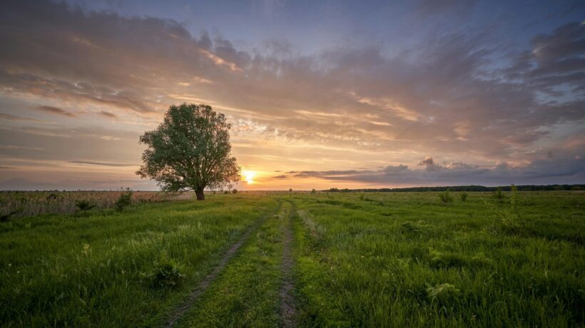 Estetika a minimalizmus v modernom servírovaní: Dizajn taniera a koncept