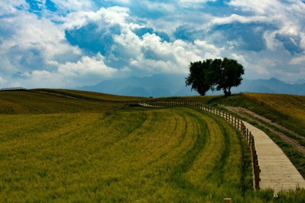 Nárečové prvky v umeleckej literatúre: Štylistická funkcia a autenticita