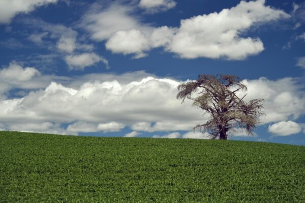 Humanizmus a návrat k antickým ideálom: Obrodenie človeka a vzdelania
