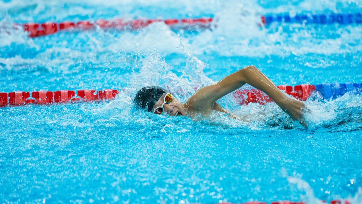 Budúcnosť literatúry online: E-knihy, self-publishing a čitateľské komunity