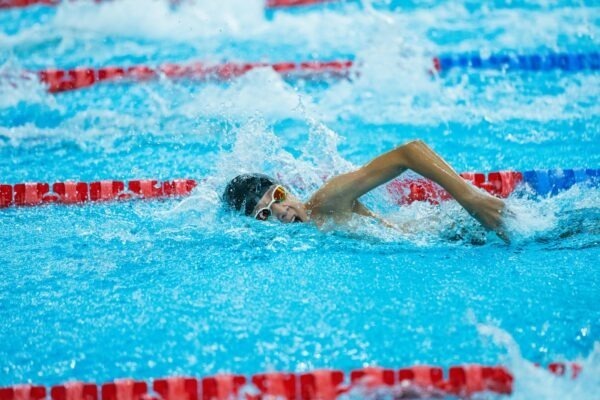 Budúcnosť literatúry online: E-knihy, self-publishing a čitateľské komunity